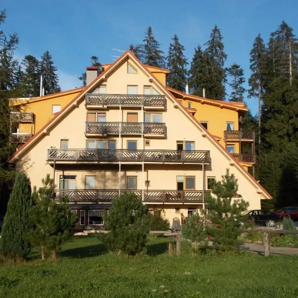 Family Apartments Spiežovec，位于Liptovské Revúce的酒店