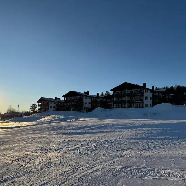 Norefjell Ski in - Ski out，位于Noresund的酒店