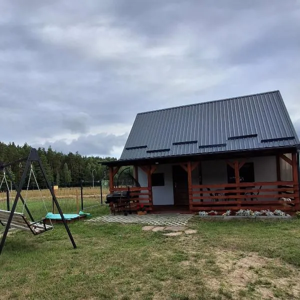 Domek wypoczynkowy-całoroczny，位于Skórcz的酒店