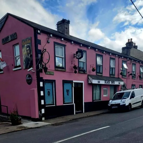 Black Toms Tavern，位于Tinahely的酒店