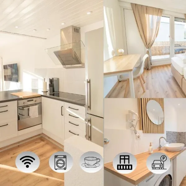 Theresa - Penthouse Terrasse Netflix Parkplatz，位于费尔巴赫的酒店