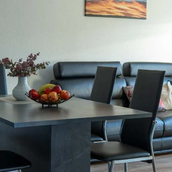 Black Forest Apartment，位于弗里森海姆的酒店