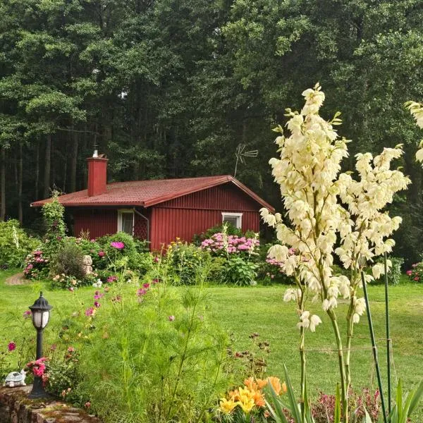 Namelis nr 1 Adelės sodyba，位于Sturmai的酒店