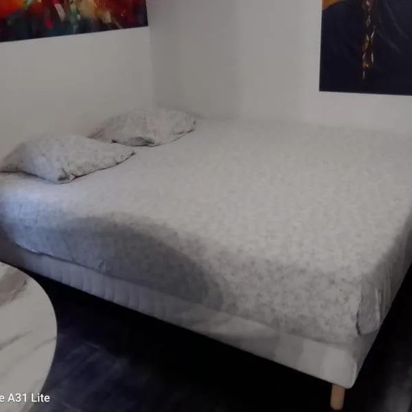 Studio Chaleureux，位于马恩河畔讷伊的酒店