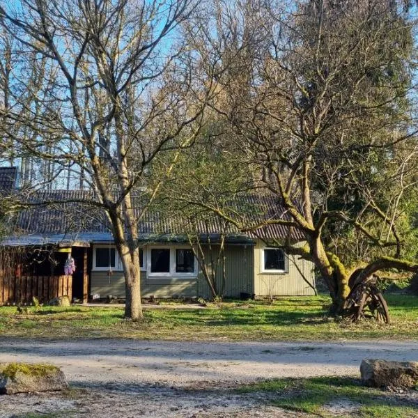 The Cottages - Pet Friendly，位于Meißendorf的酒店