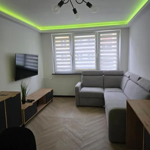 Szczecinek apartament，位于什切齐内克的酒店