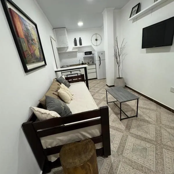 Don Antonio Apart 1，位于雷西斯膝西亚的酒店