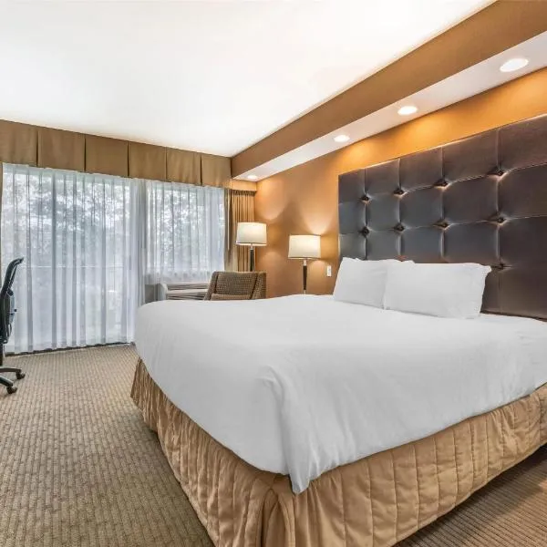 维斯特利贝斯特韦斯特酒店，位于考特尼的酒店