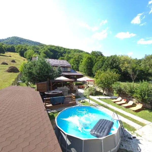 Rooms Poienita，位于斯兰默多瓦的酒店