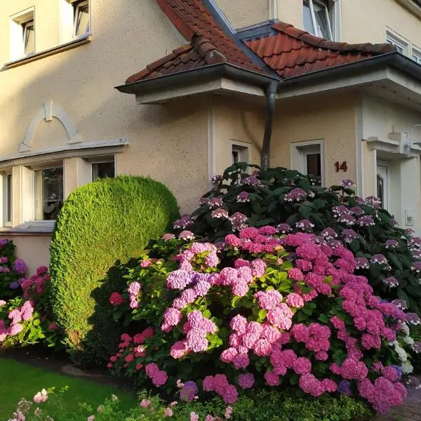 Ferienwohnung Bleichen，位于施特拉尔松德的酒店