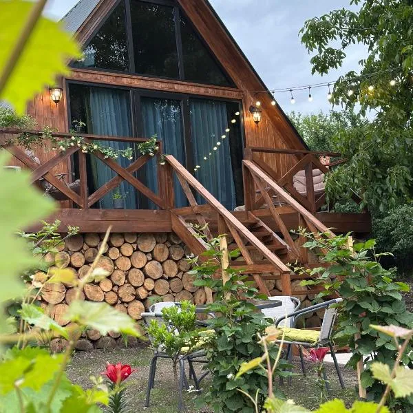Tasia's Cottage，位于Tsalka的酒店