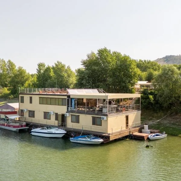 Tiena Hotel Plutitor，位于Turcoaia的酒店