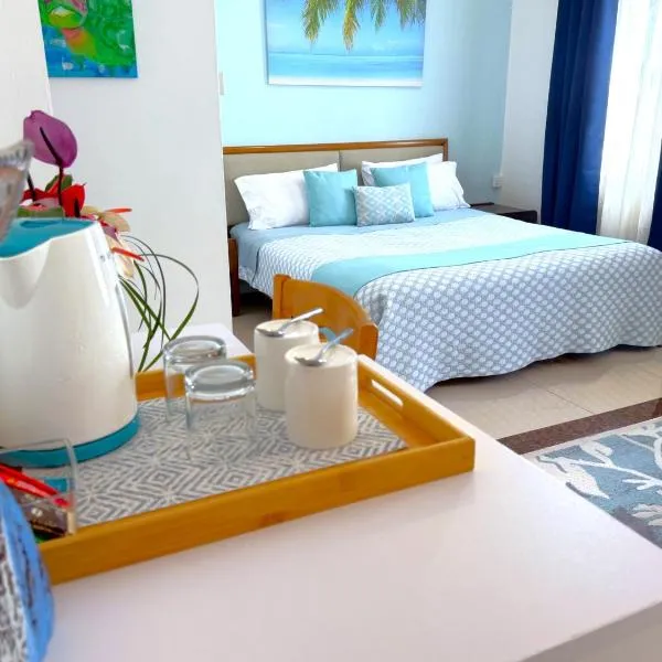 Residence Le Point Choisy，位于康隆尼角的酒店