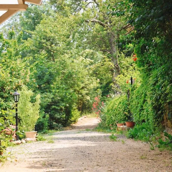 Les Grangeonnes, gîtes nature, piscine, bain nordique, sauna pour accueil familiale ou de groupe，位于Saint-Basile的酒店