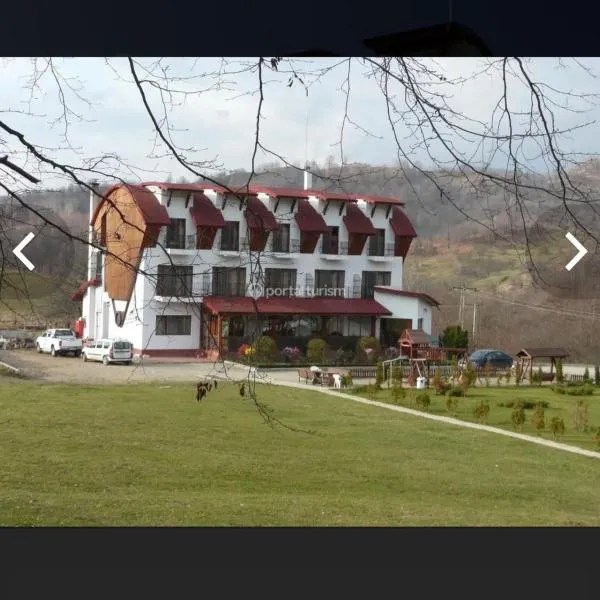Pensiunea Casa Pădurii Slanic PRAHOVA，位于Grosani的酒店