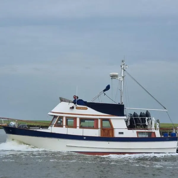 Seewolf，位于库克斯港的酒店