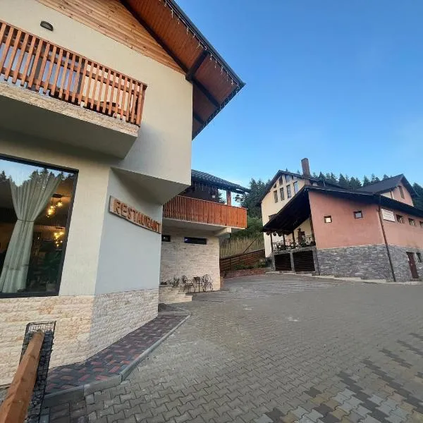Pensiunea Georgiana，位于杜劳的酒店