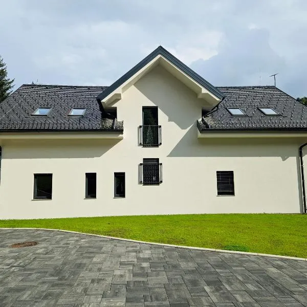 Apartmaji Vouk - sodobni apartmaji v objemu narave - Lukanja - Rogla - Primerno za pare in družine - Sprostitev in aktivno preživljanje prostega časa，位于Oplotnica的酒店