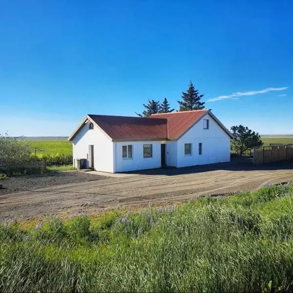 The Old farm house in Iceland，位于塞尔福斯的酒店