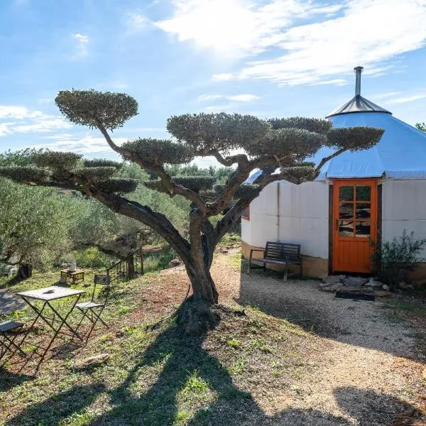 Yurta Mongola Delta del Ebro，位于卡马尔莱斯的酒店