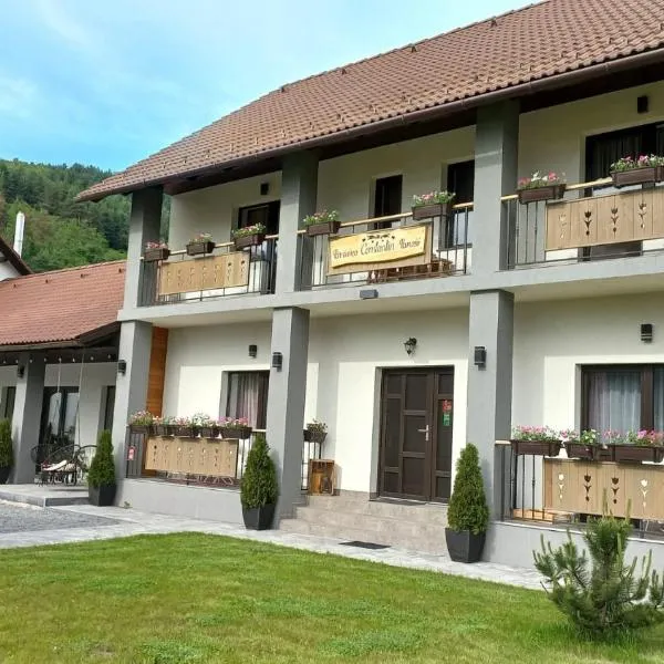 Constantin Panzió，位于普拉伊德的酒店