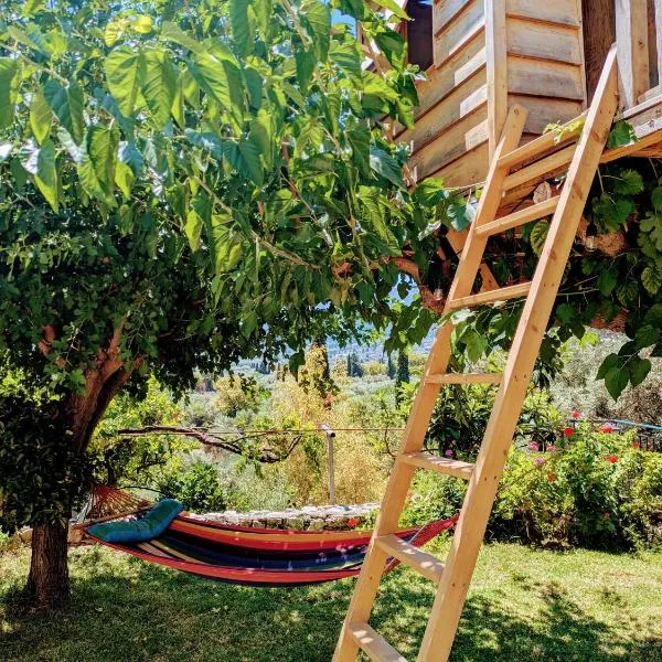 Studio with cute garden space，位于奈德里的酒店