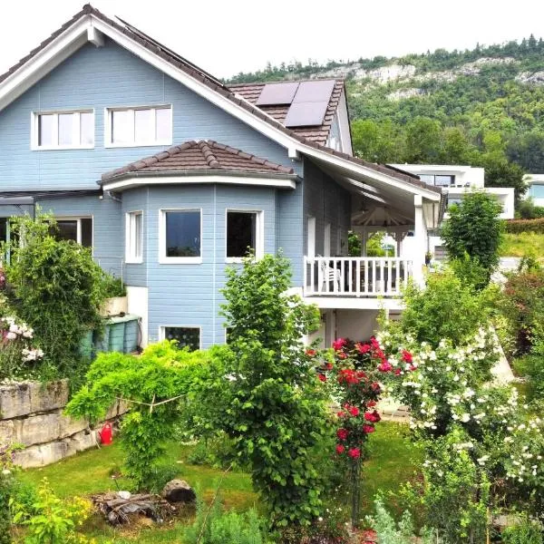 B+B Passifleur，位于德莱蒙的酒店