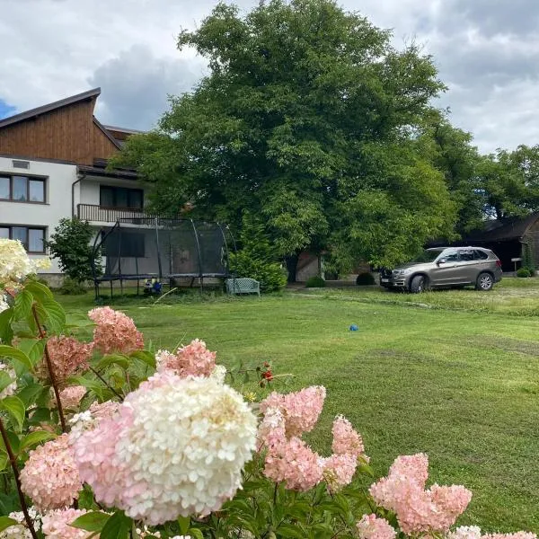 Casa- Dealu Leahului，位于Vicovu de Jos的酒店