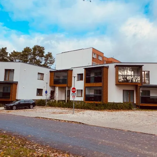 Karja 26A-2，位于纳尔瓦约埃苏的酒店