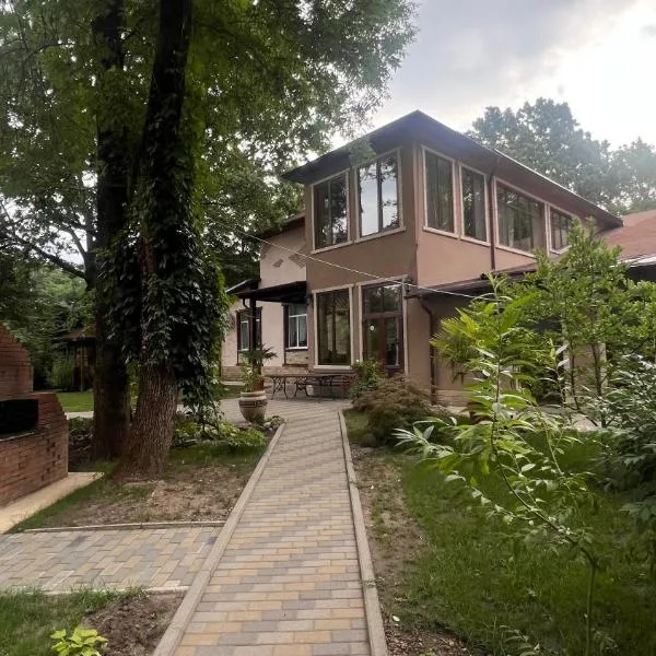 Hotel Dumbrava，位于Şoldăneşti的酒店