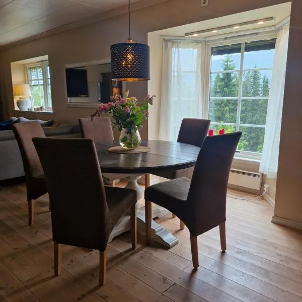 Koselig hus i Valdres，位于Leira的酒店