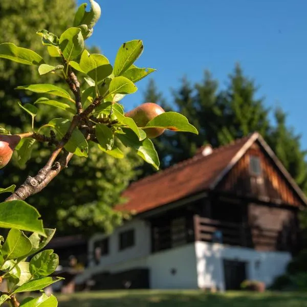 Martin's Family Cottage with Hot Tub & Views，位于Šmarje pri Jelšah的酒店