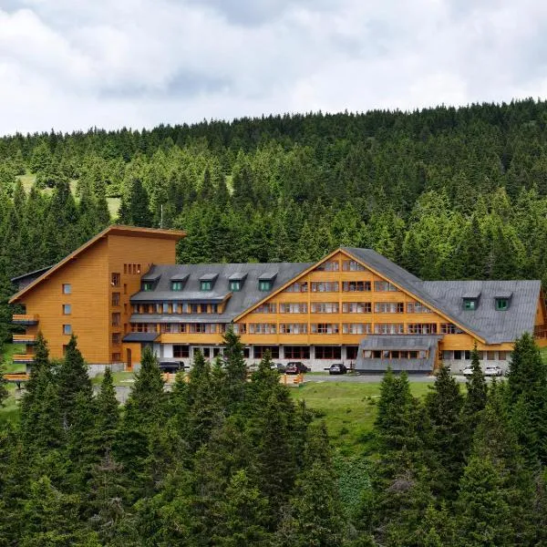 Hotel Petrovy kameny，位于卡尔洛瓦斯图丹卡的酒店