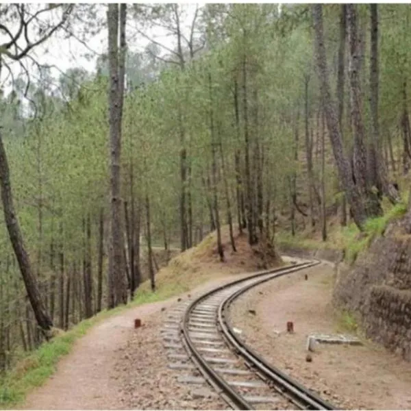 Mountain Majesty Kasauli by Splendid Hotels，位于卡绍利的酒店