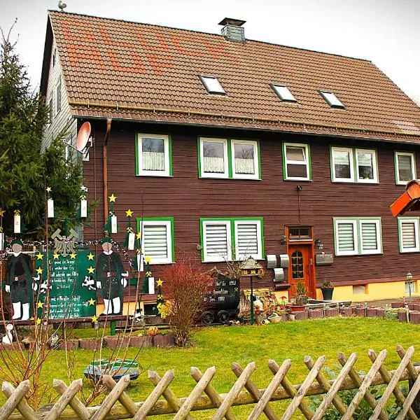 Ferienwohnung Steiger-Kaue am Rammelsberg，位于戈斯拉尔的酒店