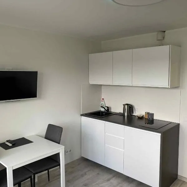 Vilnius Apartment with Balcony，位于维尔纽斯的酒店