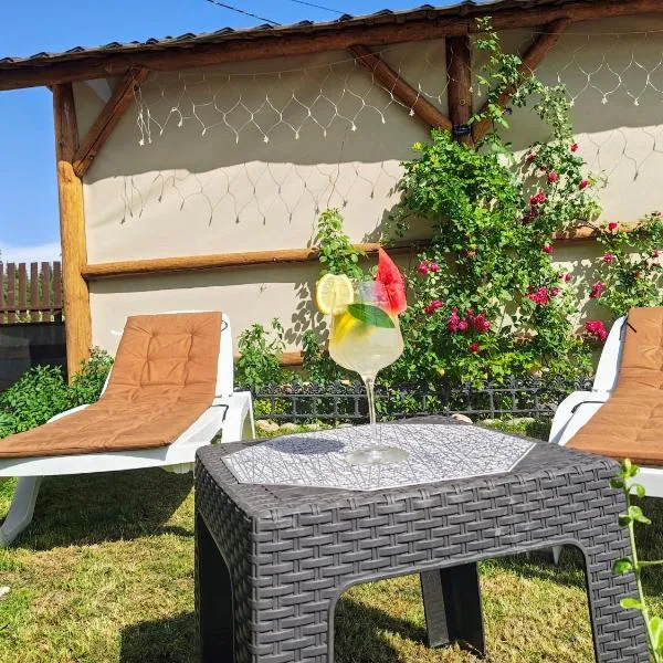 Casa 7 Izvoare，位于博尔塞克的酒店