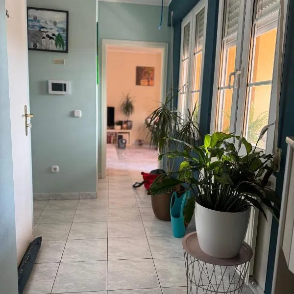 Moselle Muse，位于申根的酒店