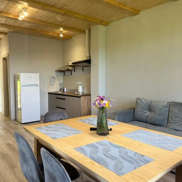 Vista Krasiya，位于维什卡的酒店