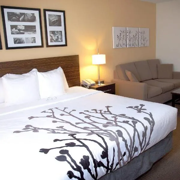 Sleep Inn & Suites Moundsville - Wheeling，位于Moundsville的酒店