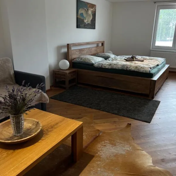 Apartmány MonTexas，位于Staměřice的酒店