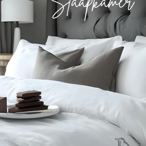 Ravens Nest，位于布隆方丹的酒店