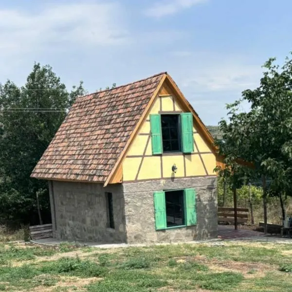Bahnhof Steinhaus，位于Asuretʼi的酒店