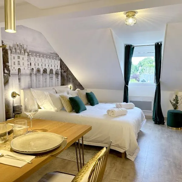 Amboise hyper centre - Cocon Royal à deux pas du Château，位于阿姆博斯的酒店