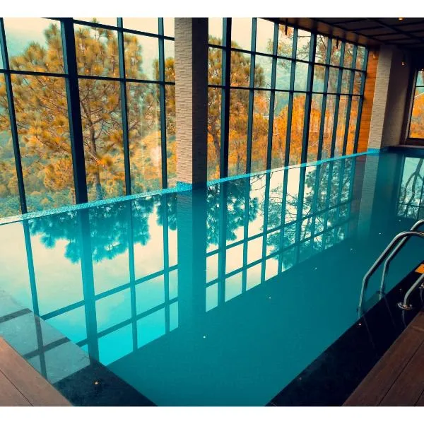 Jungle Lodge Resort，位于卡绍利的酒店