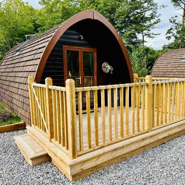 Homely Pod By The Moor & Fishing，位于Cheriton Bishop的酒店