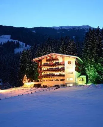 Hotel Hubertus，位于菲根贝格的酒店