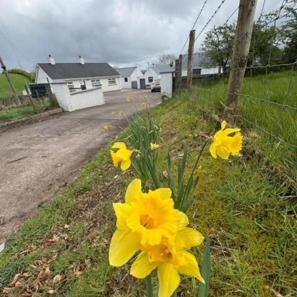 Ma Monaghan's Cosy Cottage County Tyrone，位于波默罗伊的酒店