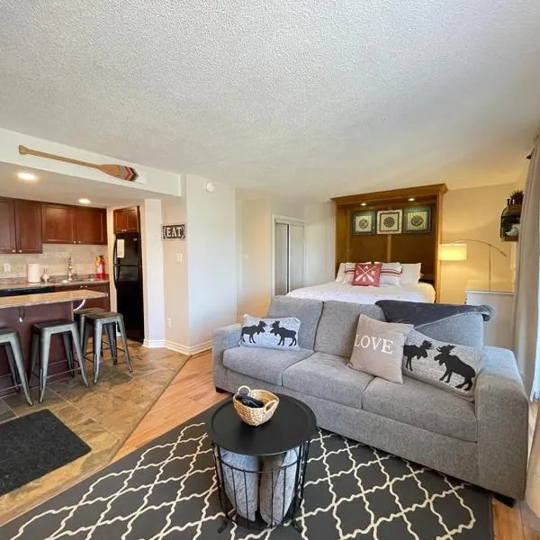 Modern Mountainside Ski In/Ski Out Studio at Blue，位于蓝山的酒店