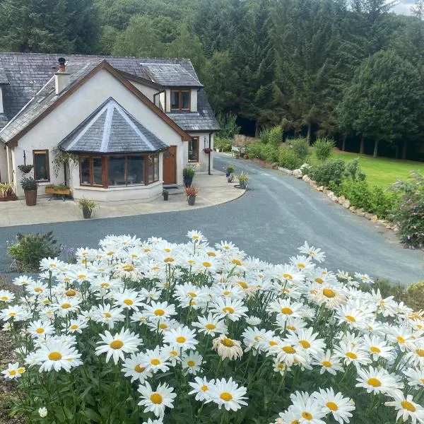 FOREST VIEW Woodland lodge，位于Ballard的酒店